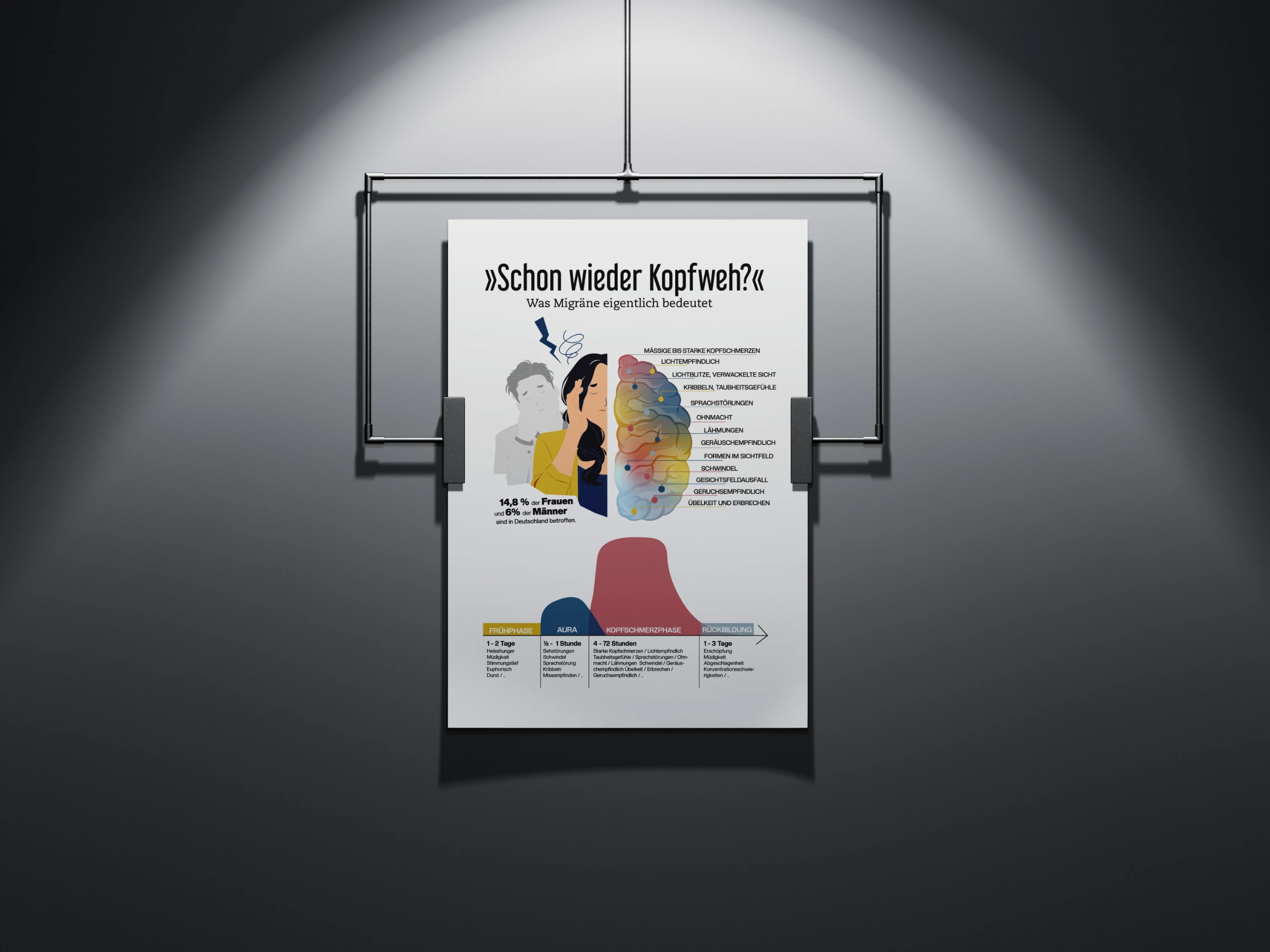 Freies Projekt, Infografik für Migräne